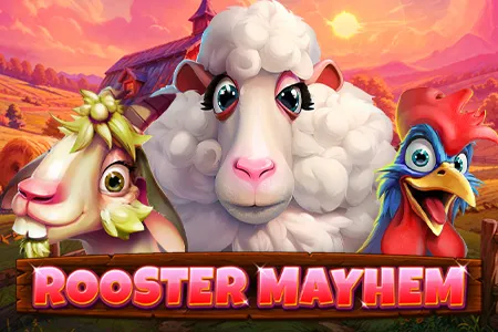 Rooster Mayhem